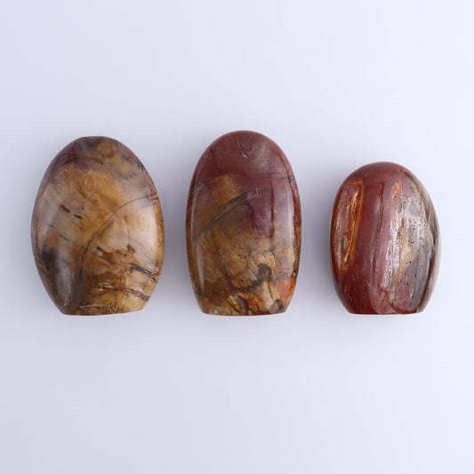 Petrified Wood Freeforms Set of 3 - Expert Wholesale and Supplier of Wholesale Crystals & Bulk Gemstones, ["Freeform","Freeforms","Madagascar","Petrified Wood"]