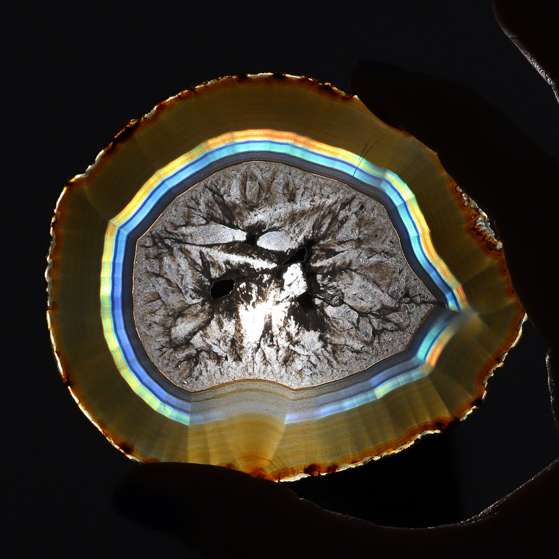 Iris Agate Slices Set of 5 - Expert Wholesale and Supplier of Wholesale Crystals & Bulk Gemstones, ["Agate","Iris Agate","Slices and Slabs"]
