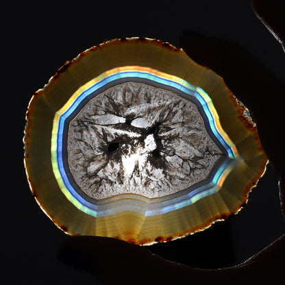 Iris Agate Slices Set of 5 - Expert Wholesale and Supplier of Wholesale Crystals & Bulk Gemstones, ["Agate","Iris Agate","Slices and Slabs"]