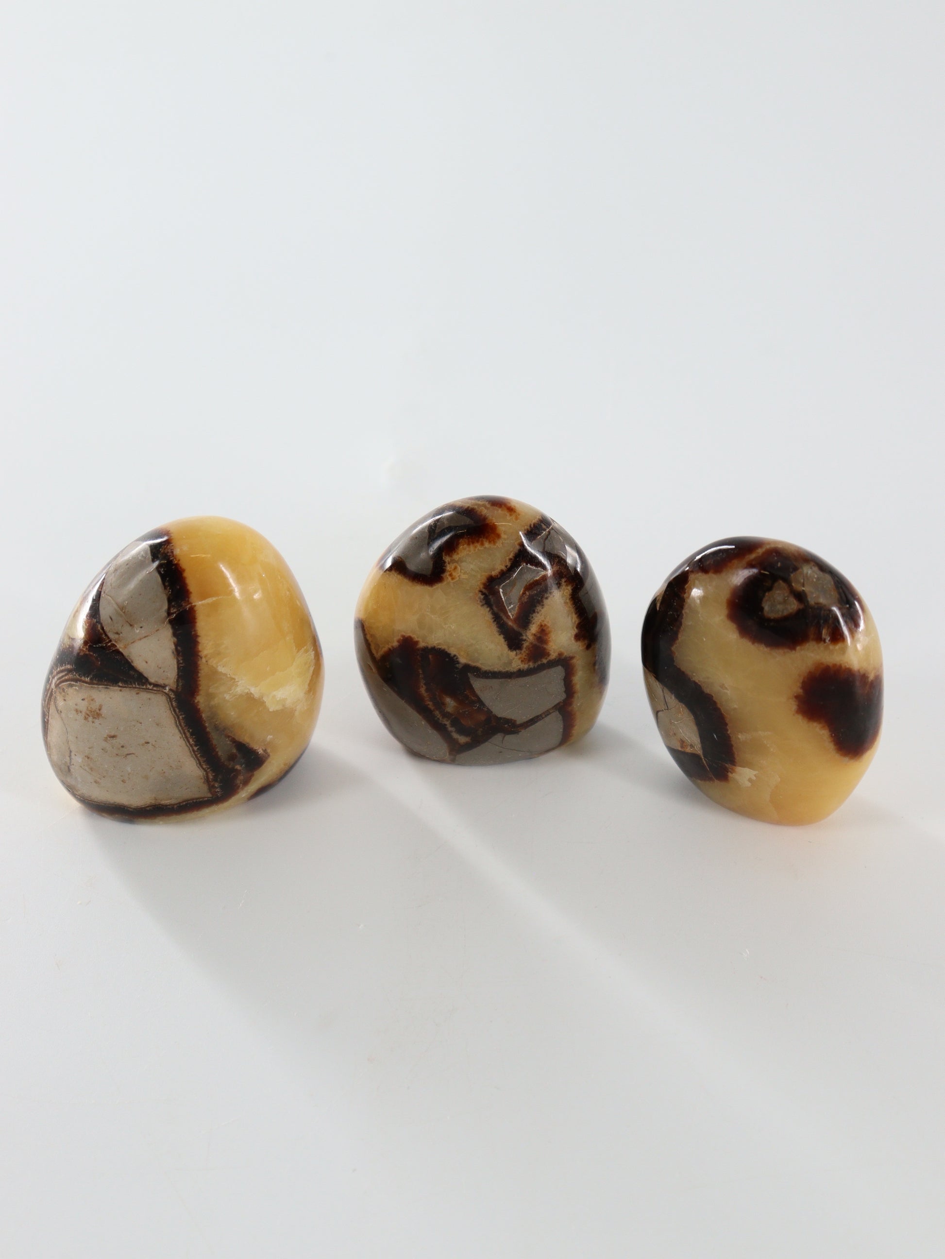 Sepatarian Freeforms Set of 12 - Expert Wholesale and Supplier of Wholesale Crystals & Bulk Gemstones, []