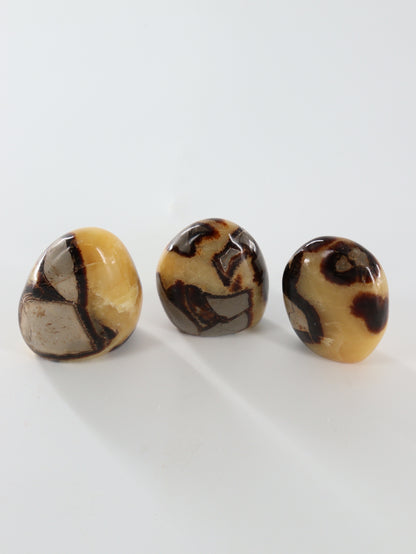 Sepatarian Freeforms Set of 12 - Expert Wholesale and Supplier of Wholesale Crystals & Bulk Gemstones, []