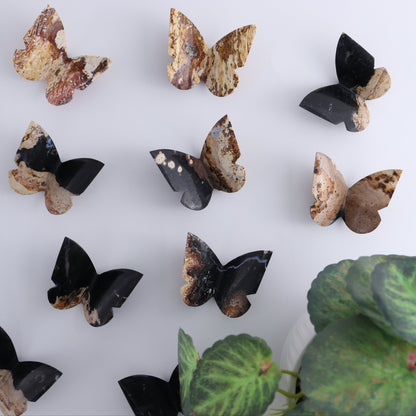 One Palm Root Agate Butterfly - Expert Wholesale and Supplier of Wholesale Crystals & Bulk Gemstones, ["Agate","Butterflies","Butterfly","Palm Root"]