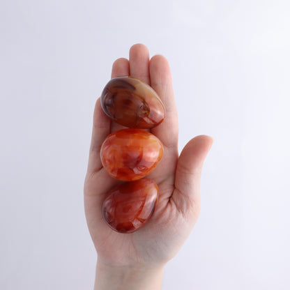 Carnelian Eggs Flat of 20 - Expert Wholesale and Supplier of Wholesale Crystals & Bulk Gemstones, ["carnelian","Eggs","Madagascar"]