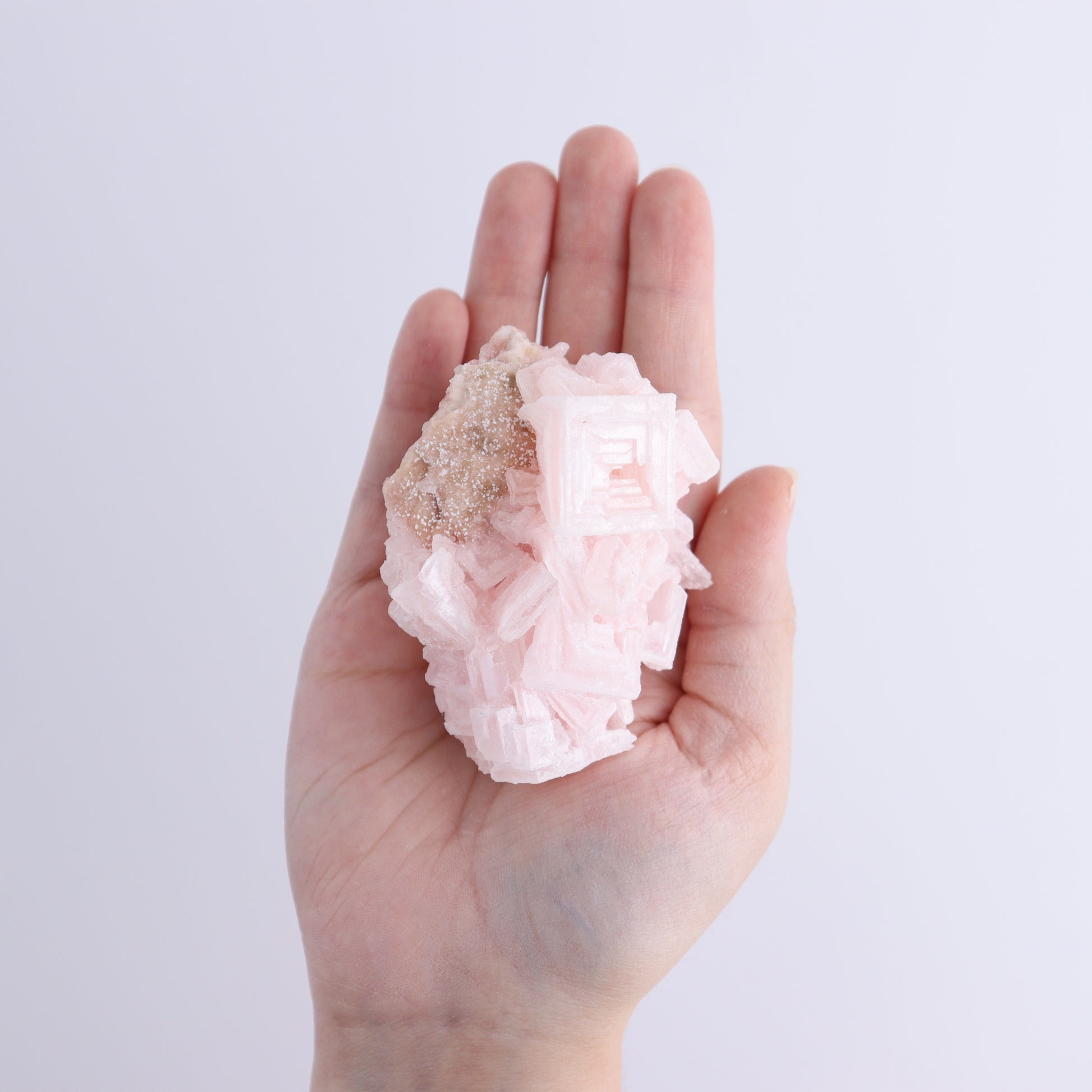 Searles Lake Halite Flat of 6 - Expert Wholesale and Supplier of Wholesale Crystals & Bulk Gemstones, ["Flats","Halite","United States"]