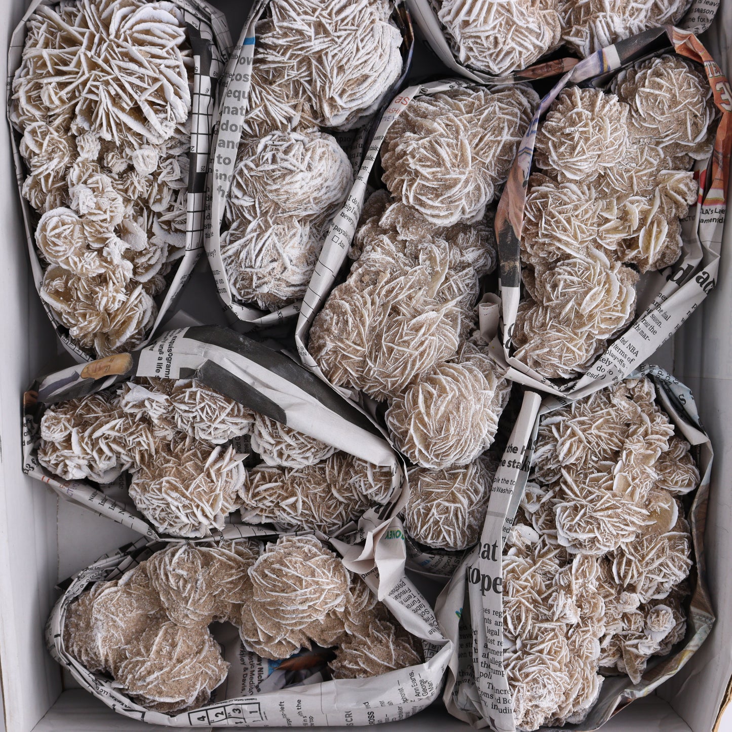 Desert Rose Set of 9 - Expert Wholesale and Supplier of Wholesale Crystals & Bulk Gemstones, ["Desert Rose","Freeforms","Morocco"]