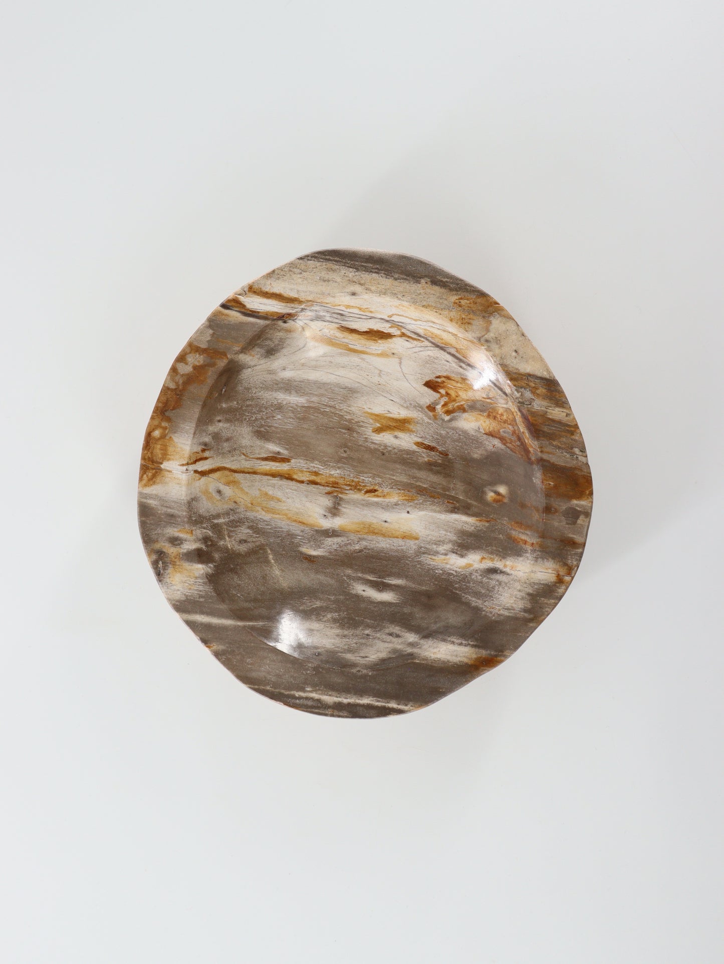 Petrified Wood Bowl - Expert Wholesale and Supplier of Wholesale Crystals & Bulk Gemstones, []