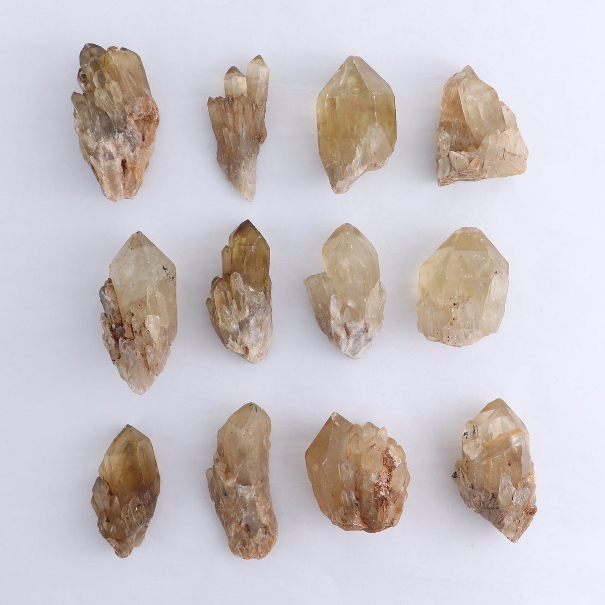 Congo Citrine Set of 12 - wholesale crystals