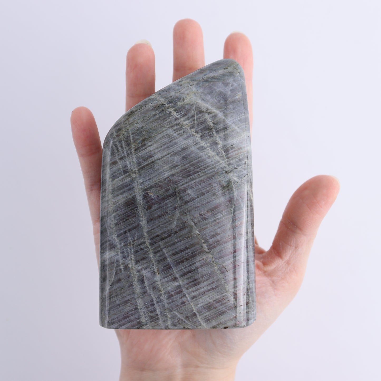 Labradorite Freeform Set of 8 - Expert Wholesale and Supplier of Wholesale Crystals & Bulk Gemstones, ["Freeforms","Labradorite","Madagascar"]