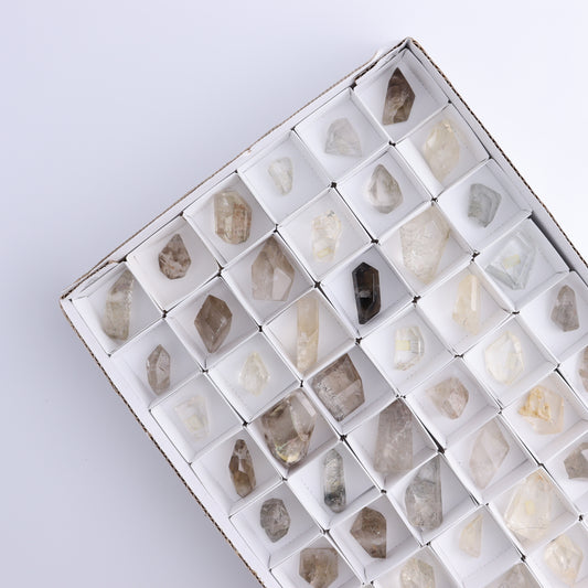 Quartz with Inclusions Feeforms Set of 54