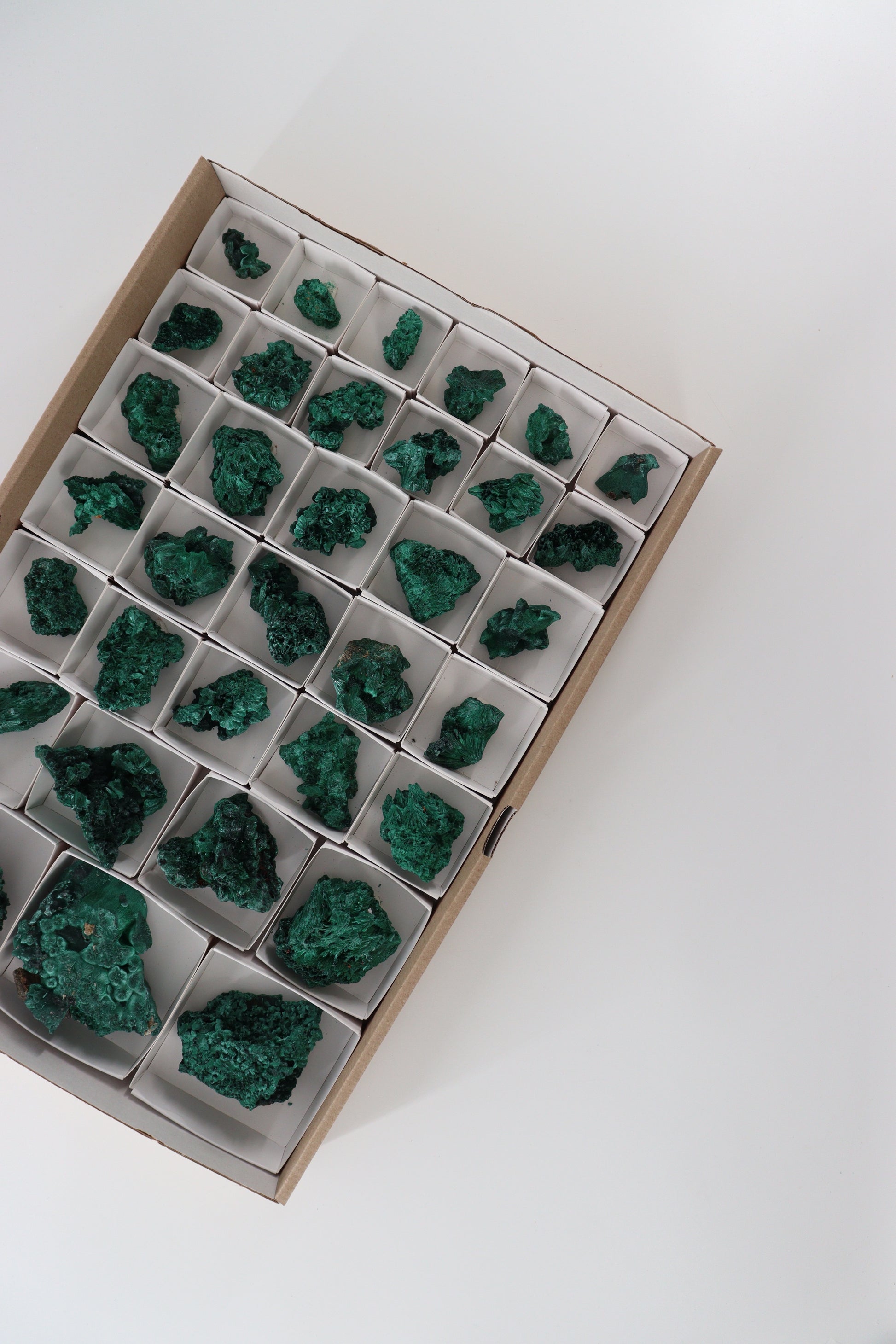 Malachite Flat - Expert Supplier of Wholesale Crystals & Bulk Gemstones