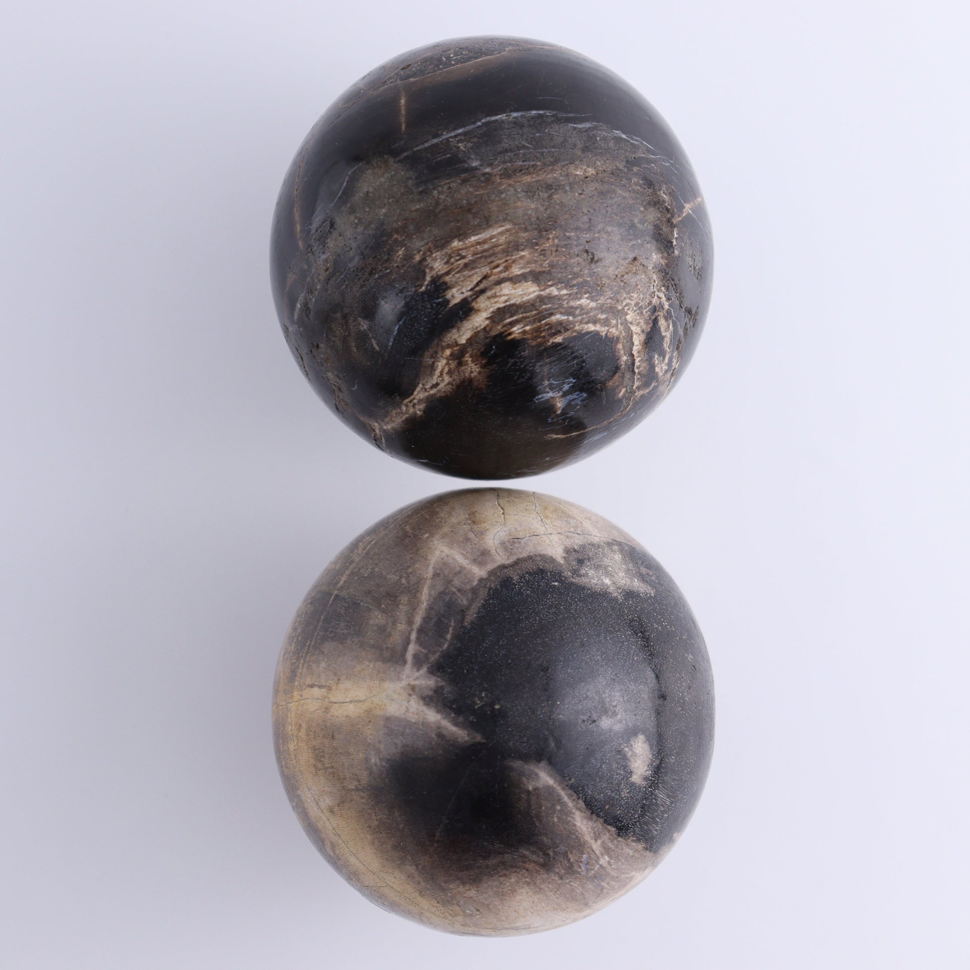 Petrified Wood Spheres Set of 4 - Expert Wholesale and Supplier of Wholesale Crystals & Bulk Gemstones, ["Indonesia","Petrified Wood","Spheres"]
