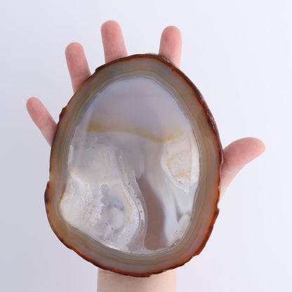Agate Slices Set of 8 - Expert Wholesale and Supplier of Wholesale Crystals & Bulk Gemstones, ["Agate","Slices and Slabs"]
