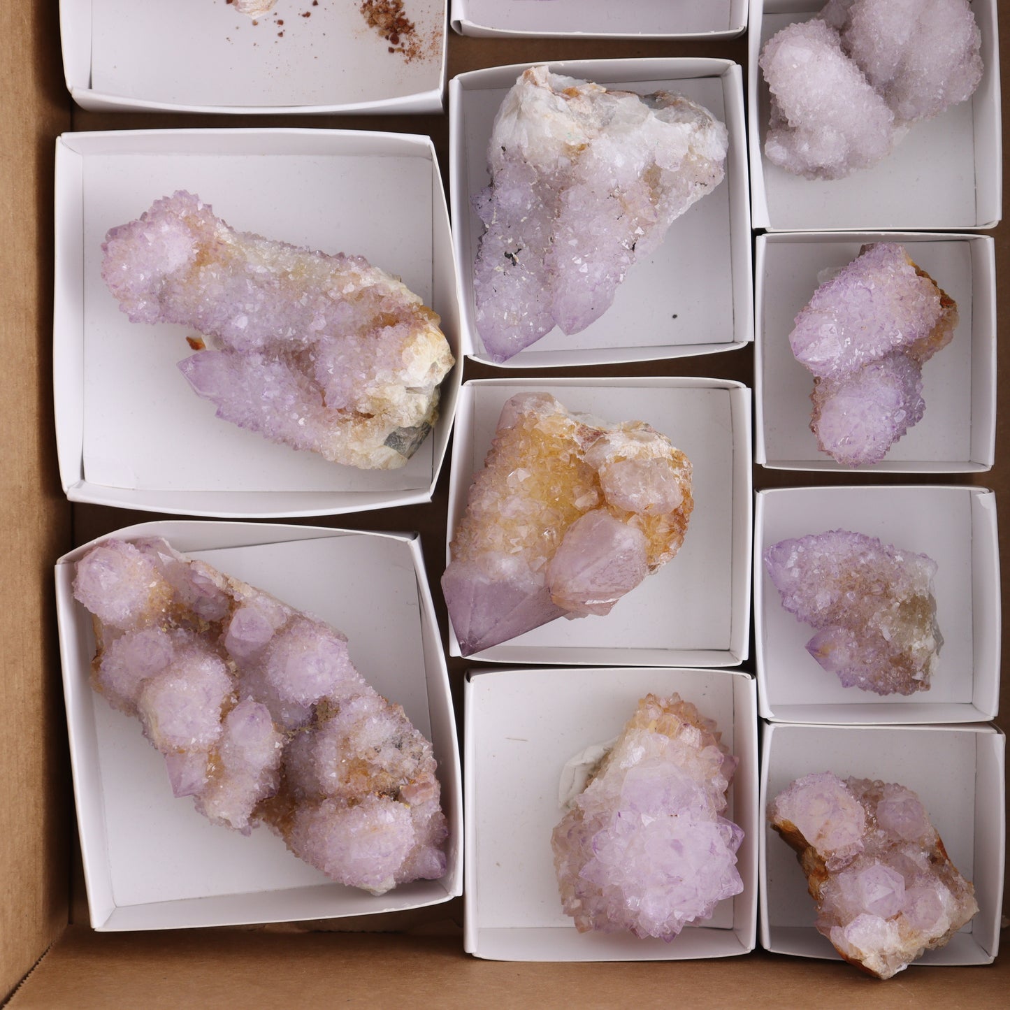 Cactus Quartz Set of 12 - Expert Wholesale and Supplier of Wholesale Crystals & Bulk Gemstones, ["cactus quartz","Quartz","South Africa"]