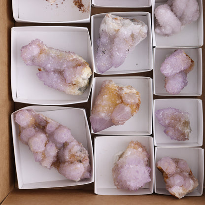 Cactus Quartz Set of 12 - Expert Wholesale and Supplier of Wholesale Crystals & Bulk Gemstones, ["cactus quartz","Quartz","South Africa"]
