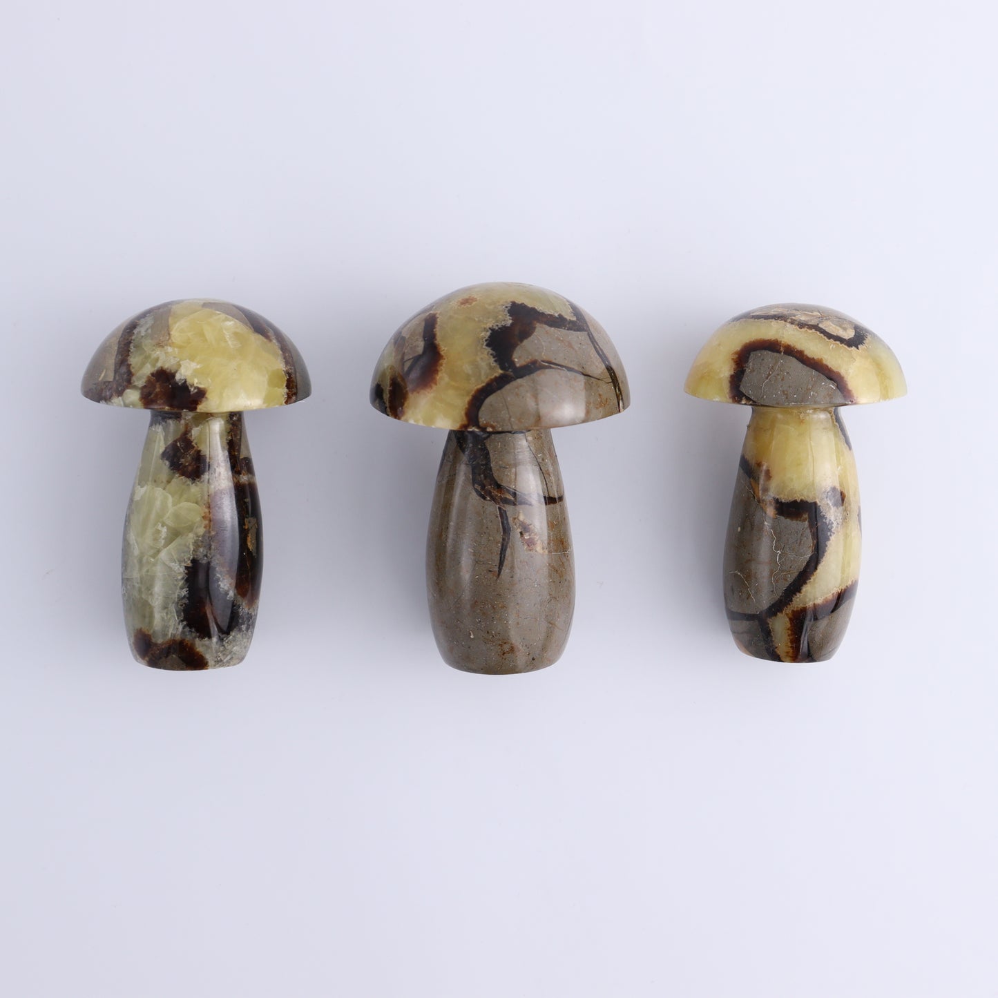 Septarian Mushrooms Set of 6 - Expert Wholesale and Supplier of Wholesale Crystals & Bulk Gemstones, ["Mushrooms","Septarian"]