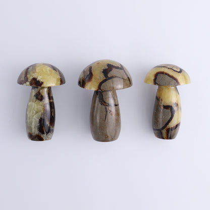Septarian Mushrooms Set of 6 - Expert Wholesale and Supplier of Wholesale Crystals & Bulk Gemstones, ["Mushrooms","Septarian"]