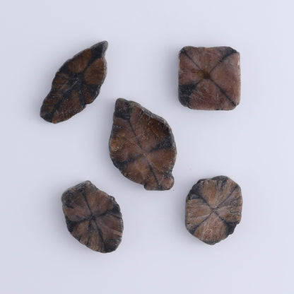 Chiastolite Flat of 24 - Expert Wholesale and Supplier of Wholesale Crystals & Bulk Gemstones, ["chiastolite","China","flat","Flats"]