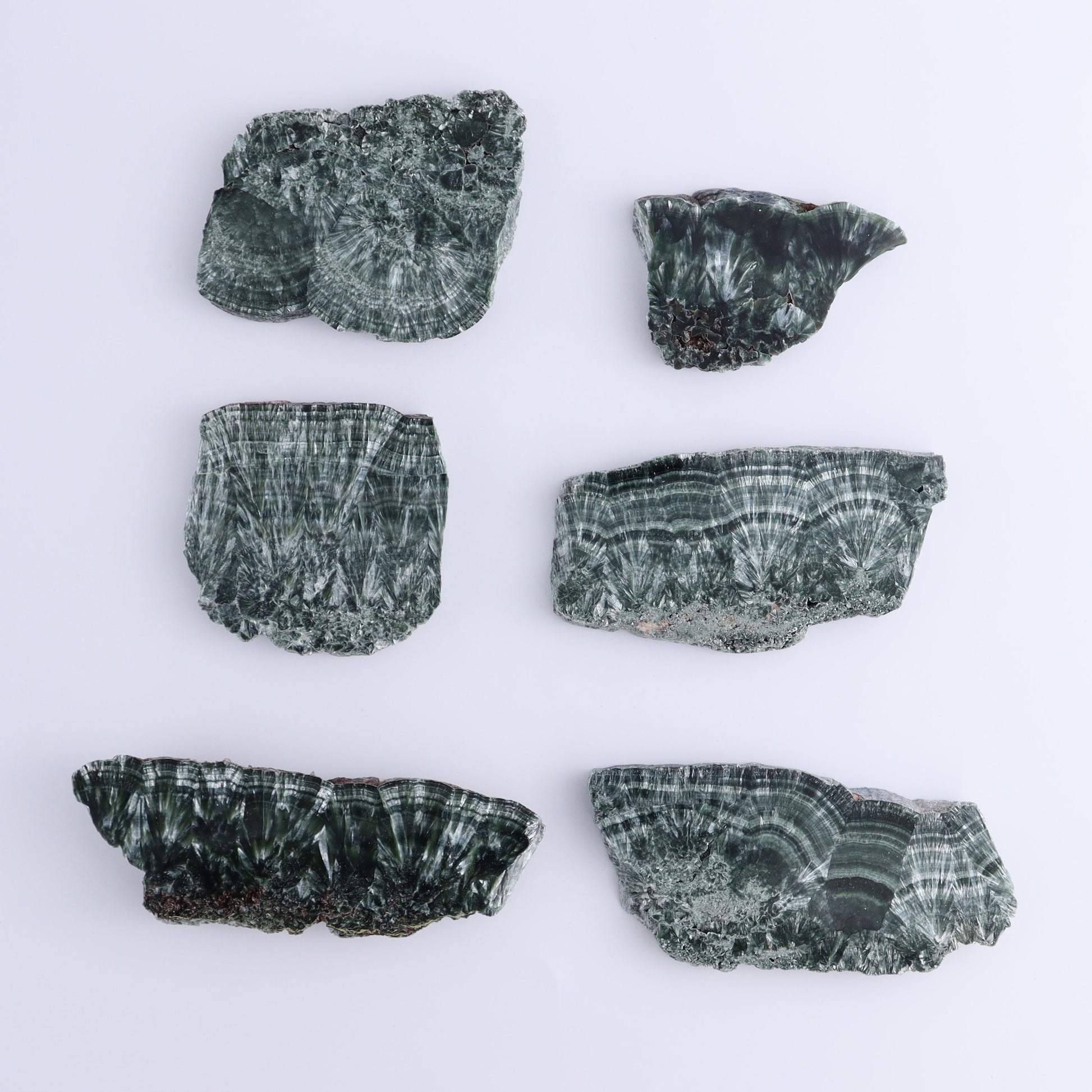 Seraphinite Slices Set of 6 - Expert Wholesale and Supplier of Wholesale Crystals & Bulk Gemstones, ["Russia","Seraphinite","Slices and Slabs"]
