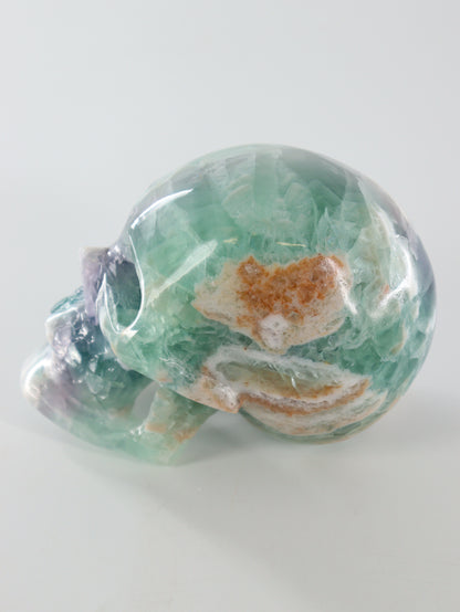 Fluorite Skull - Expert Wholesale and Supplier of Wholesale Crystals & Bulk Gemstones, []