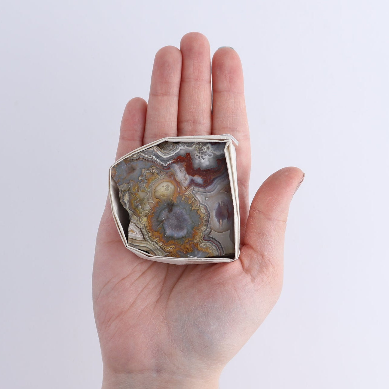 Crazy Lace Agate Flat of 13