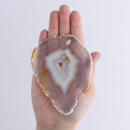 Iris Agate Slices Set of 4 - Expert Wholesale and Supplier of Wholesale Crystals & Bulk Gemstones, ["Agate","Iris Agate","Slices and Slabs"]