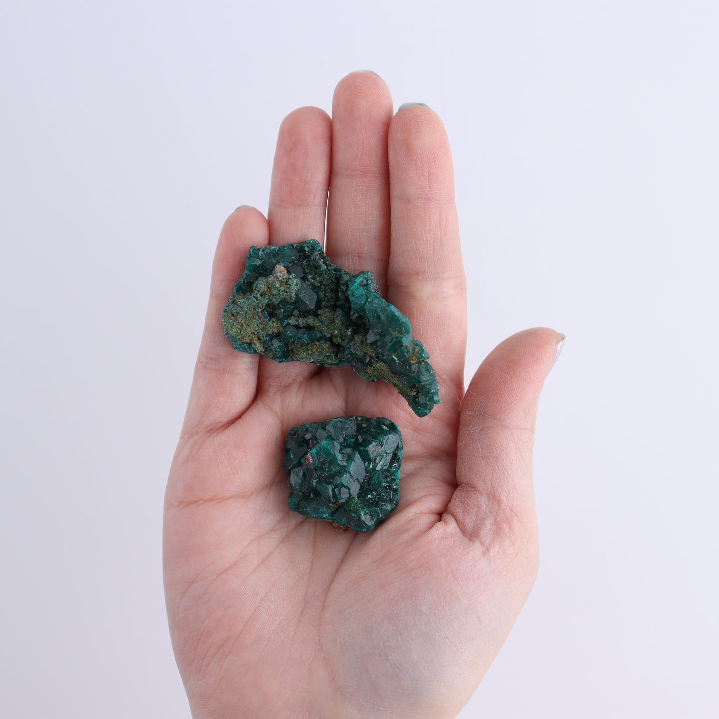 Dioptase Set of 19 - Expert Wholesale and Supplier of Wholesale Crystals & Bulk Gemstones, ["dioptase","Freeform","Freeforms"]