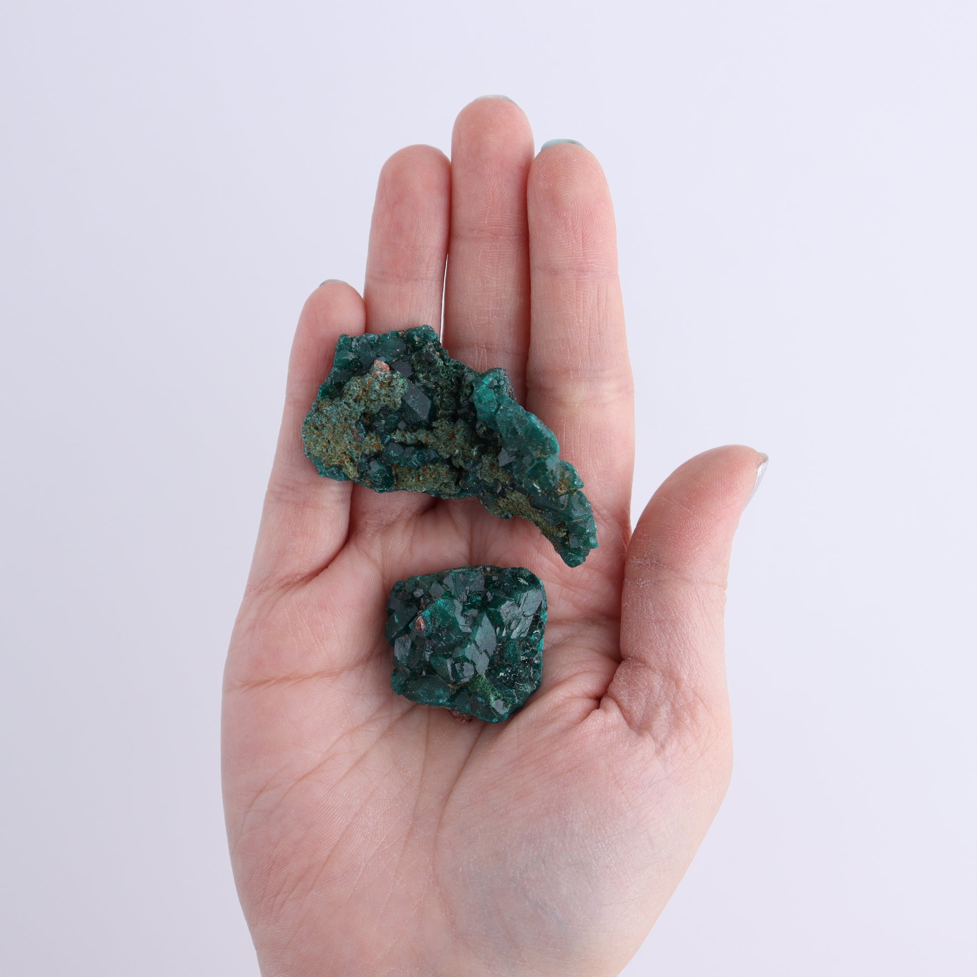 Dioptase Set of 19 - Expert Wholesale and Supplier of Wholesale Crystals & Bulk Gemstones, ["dioptase","Freeform","Freeforms"]