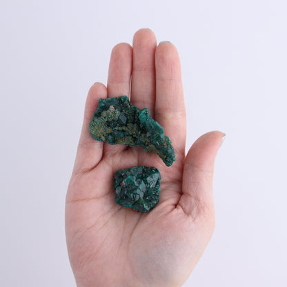 Dioptase Set of 19 - Expert Wholesale and Supplier of Wholesale Crystals & Bulk Gemstones, ["dioptase","Freeform","Freeforms"]