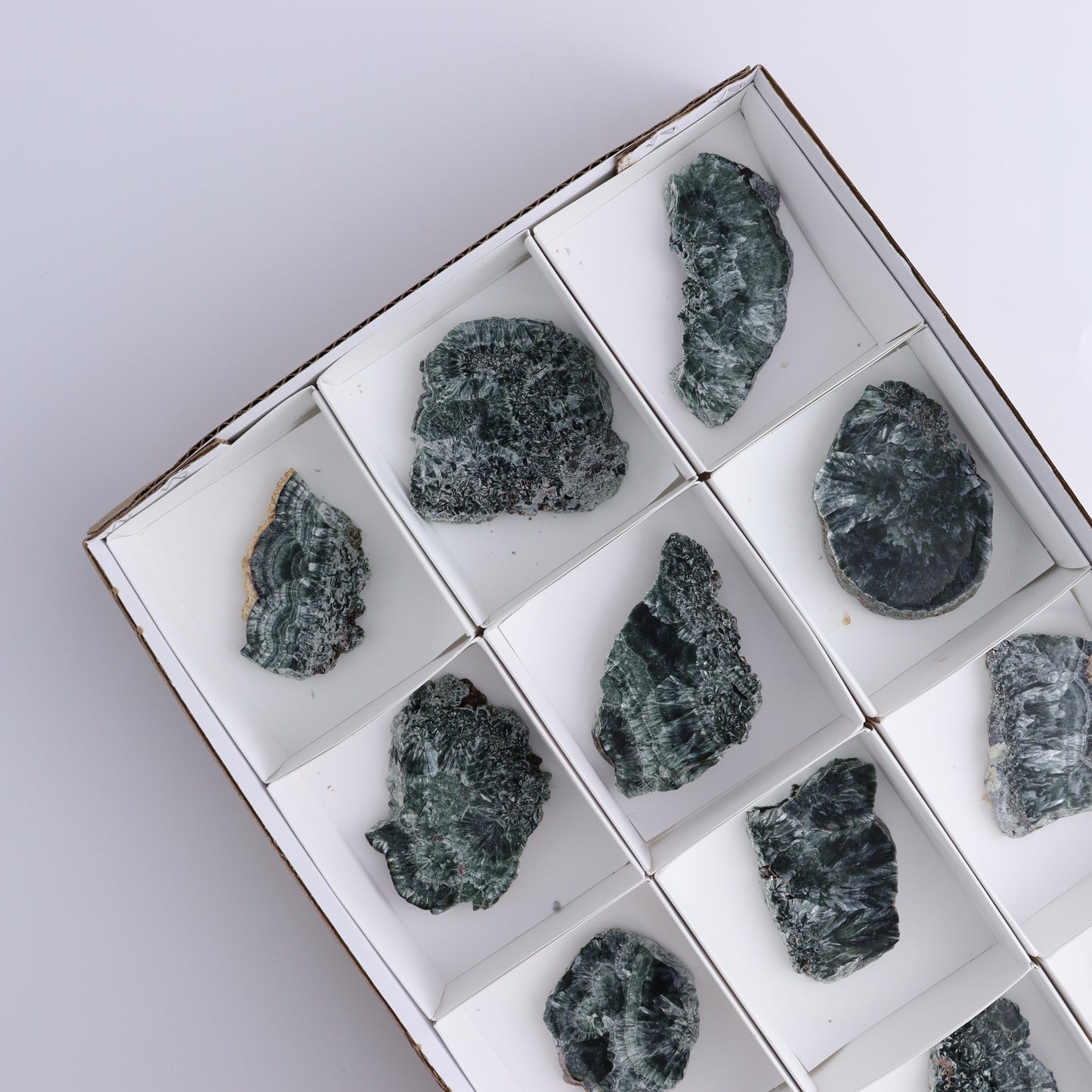 Seraphinite Slices Set of 12 - Expert Wholesale and Supplier of Wholesale Crystals & Bulk Gemstones, ["Seraphinite","Slices and Slabs"]