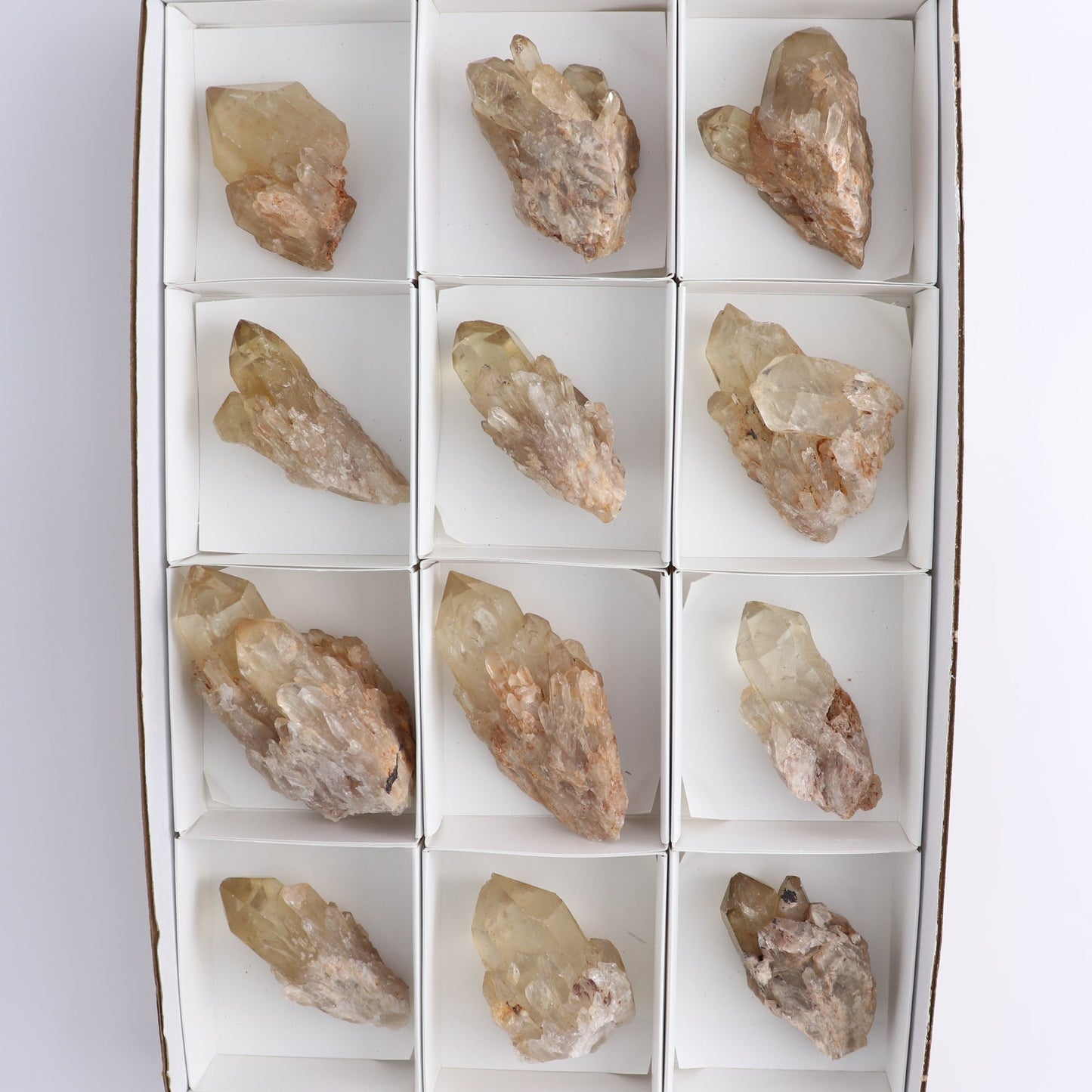Congo Citrine Set of 12