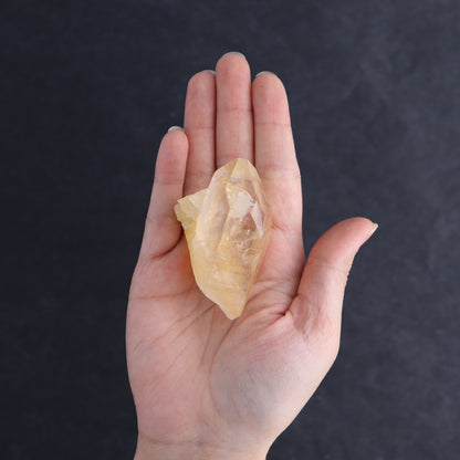Lemurian Rough Towers Set of 12 - Expert Wholesale and Supplier of Wholesale Crystals & Bulk Gemstones, ["Lemurian","Rough","Towers"]