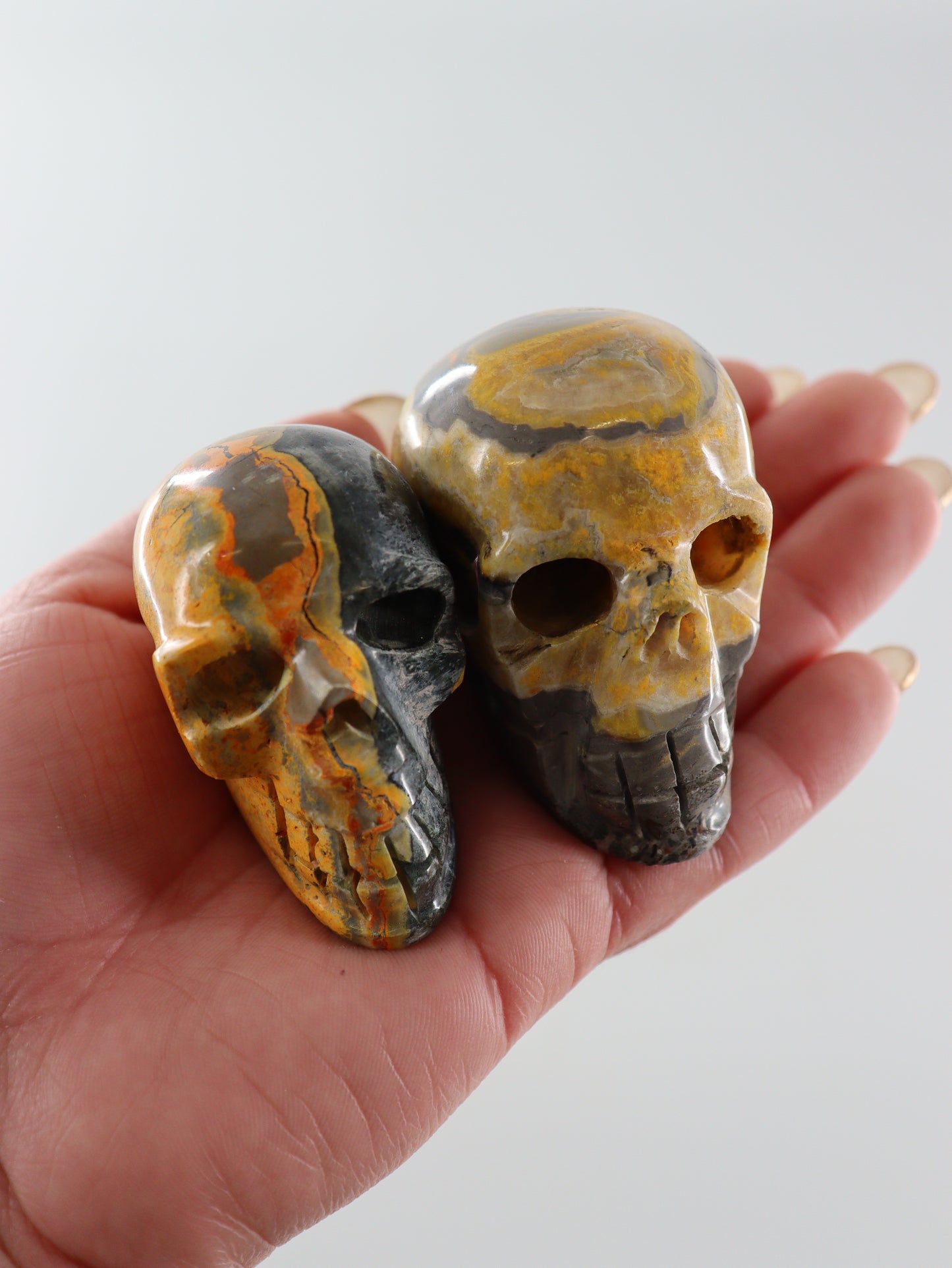Bumblebee Jasper Skulls Set of 5 - Expert Wholesale and Supplier of Wholesale Crystals & Bulk Gemstones, []
