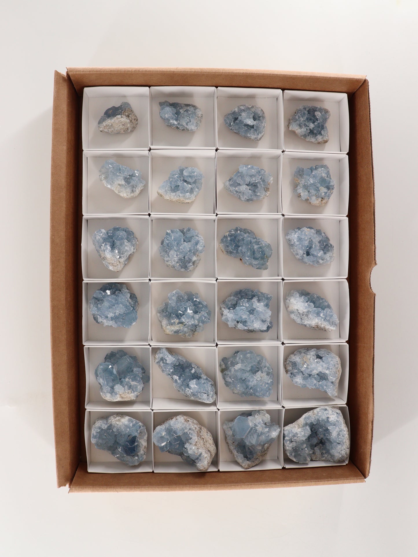Celestite Clusters Set of 24 - Expert Wholesale and Supplier of Wholesale Crystals & Bulk Gemstones, []