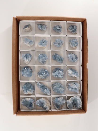 Celestite Clusters Set of 24 - Expert Wholesale and Supplier of Wholesale Crystals & Bulk Gemstones, []