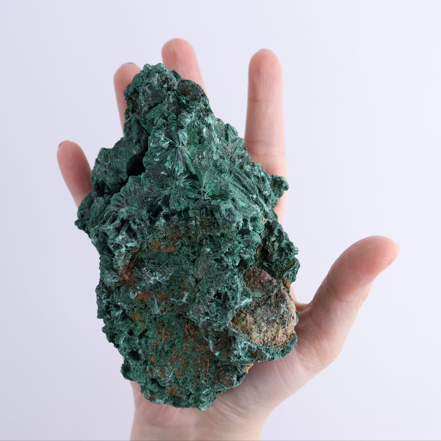 Malachite Freeforms Set of 2 - Expert Wholesale and Supplier of Wholesale Crystals & Bulk Gemstones, ["close_50","Freeform","Malachite","South Africa"]