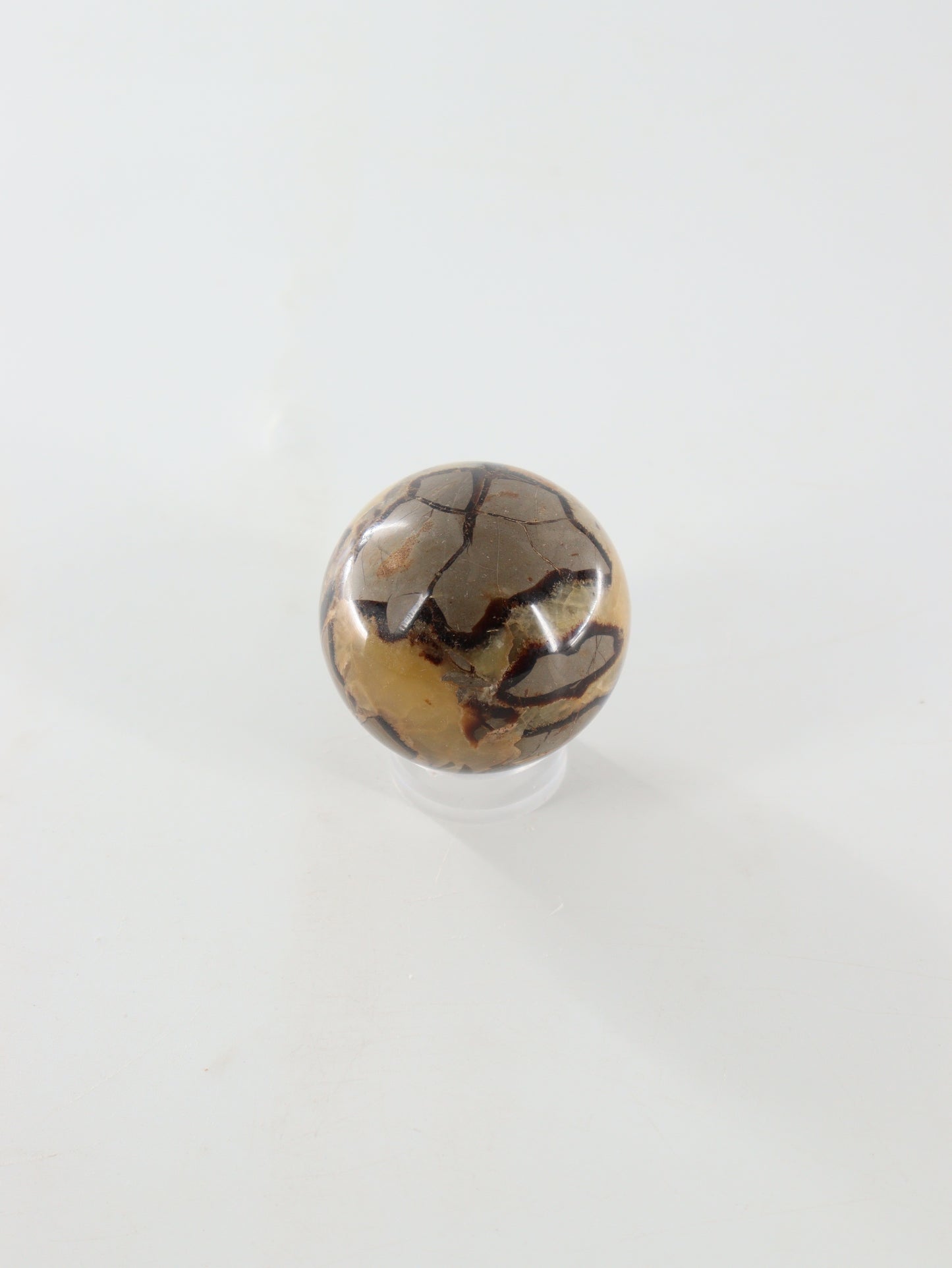 Septarian Spheres Set of 6 - Expert Supplier of Wholesale Crystals & Bulk Gemstones