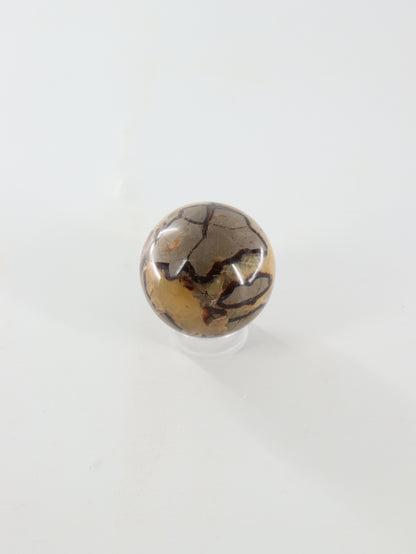 Septarian Spheres Set of 6 - Expert Supplier of Wholesale Crystals & Bulk Gemstones