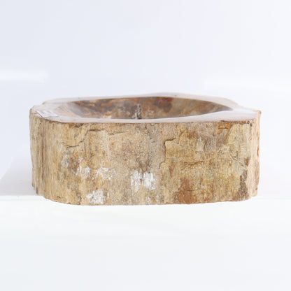 Petrified Wood Bowls Set of 2 - Expert Wholesale and Supplier of Wholesale Crystals & Bulk Gemstones, ["Bowls","Indonesia","Petrified Wood"]
