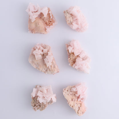 Searles Lake Halite Flat of 6 - Expert Wholesale and Supplier of Wholesale Crystals & Bulk Gemstones, ["Flats","Halite","United States"]