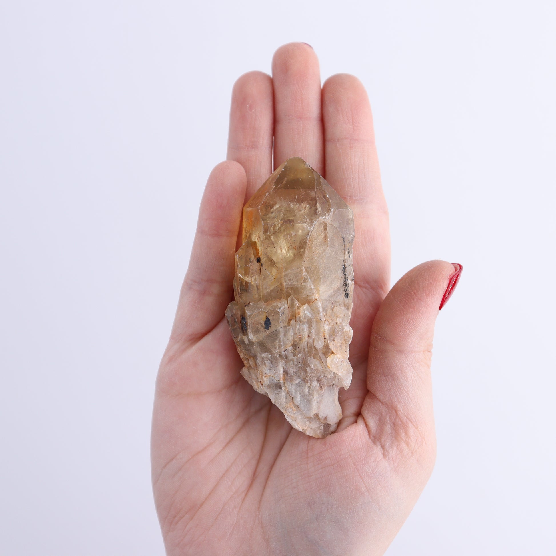 Congo Citrine Set of 12 - Expert Wholesale and Supplier of Wholesale Crystals & Bulk Gemstones, ["Citrine","Congo","Rough","Roughs"]