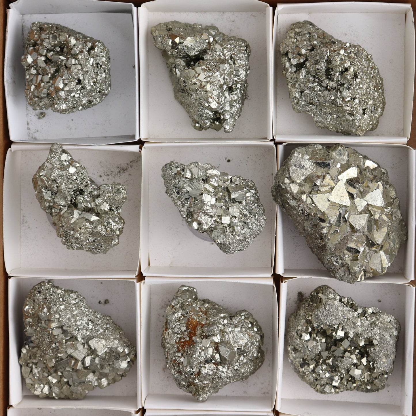 Pyrite Clusters Set of 12