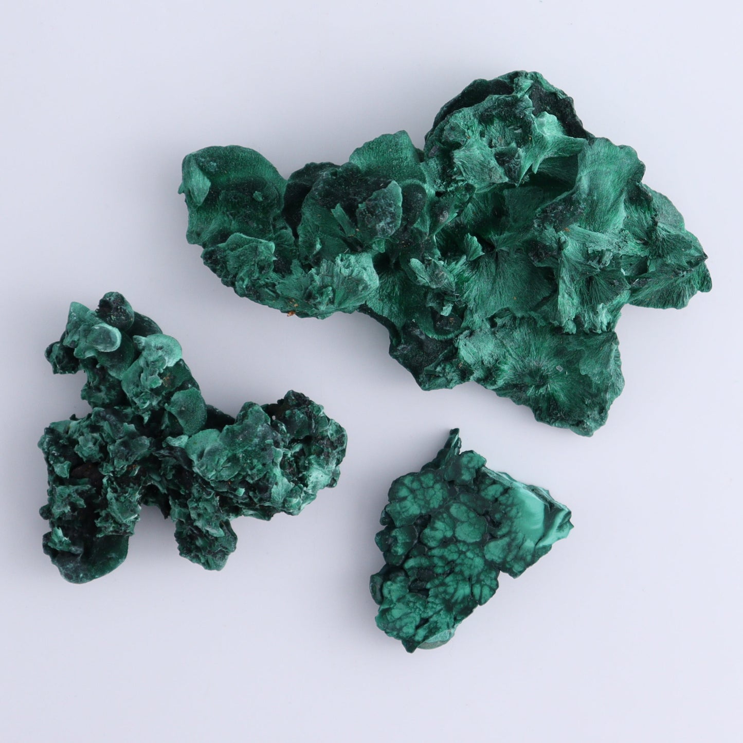 Malachite Freeforms Set of 20 - Expert Wholesale and Supplier of Wholesale Crystals & Bulk Gemstones, ["Freeform","Malachite","South Africa"]