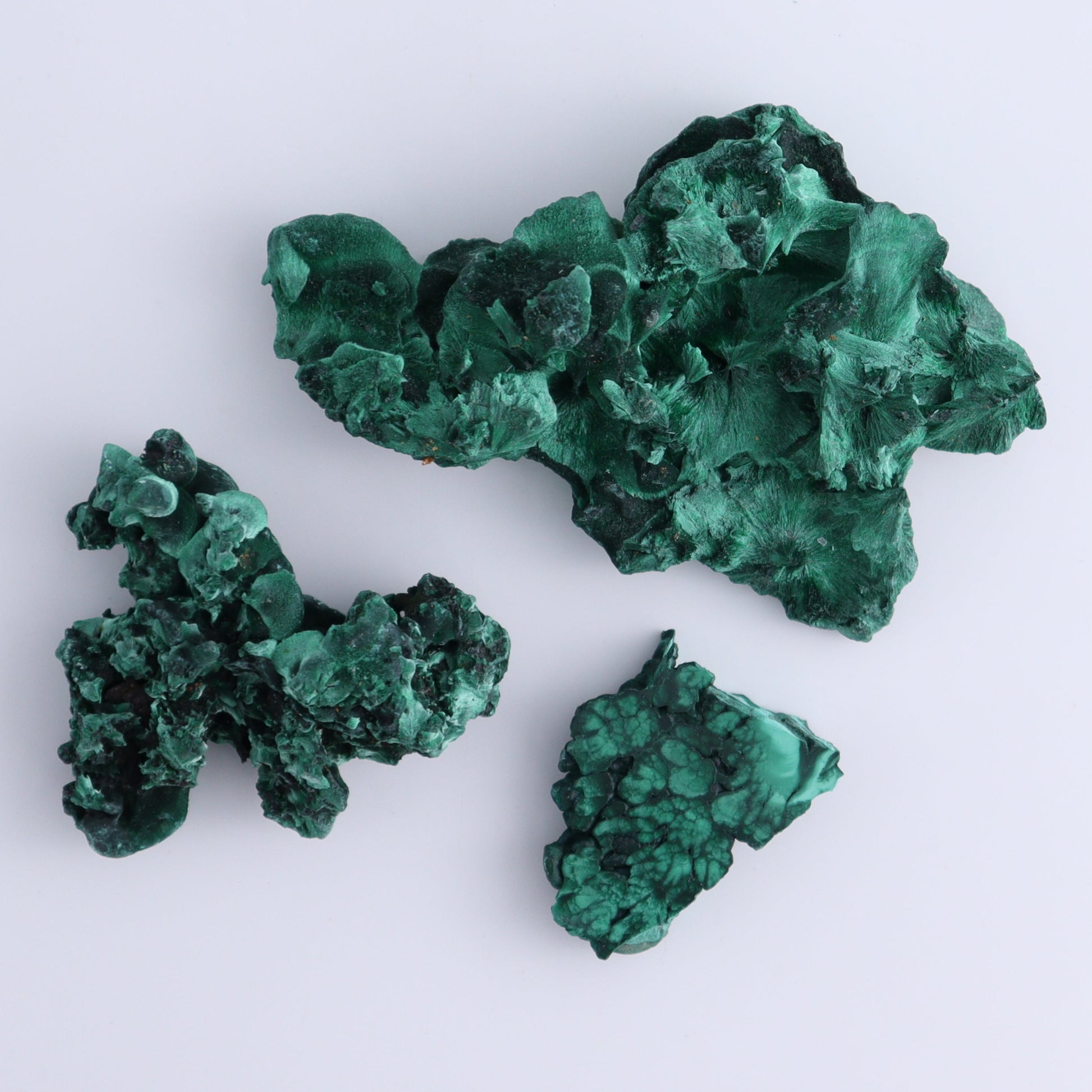 Malachite Freeforms Set of 20 - Expert Wholesale and Supplier of Wholesale Crystals & Bulk Gemstones, ["Freeform","Malachite","South Africa"]