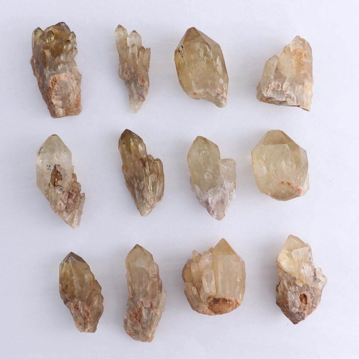 Congo Citrine Set of 12 - wholesale crystals