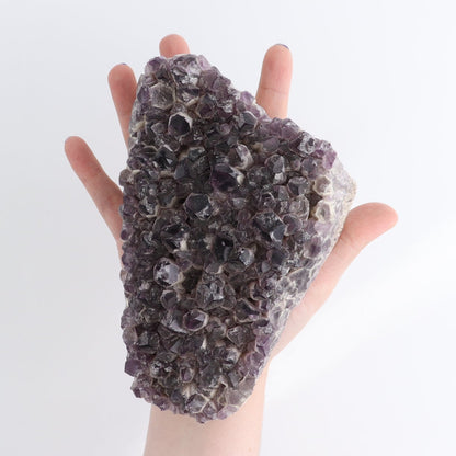 Amethyst Cluster