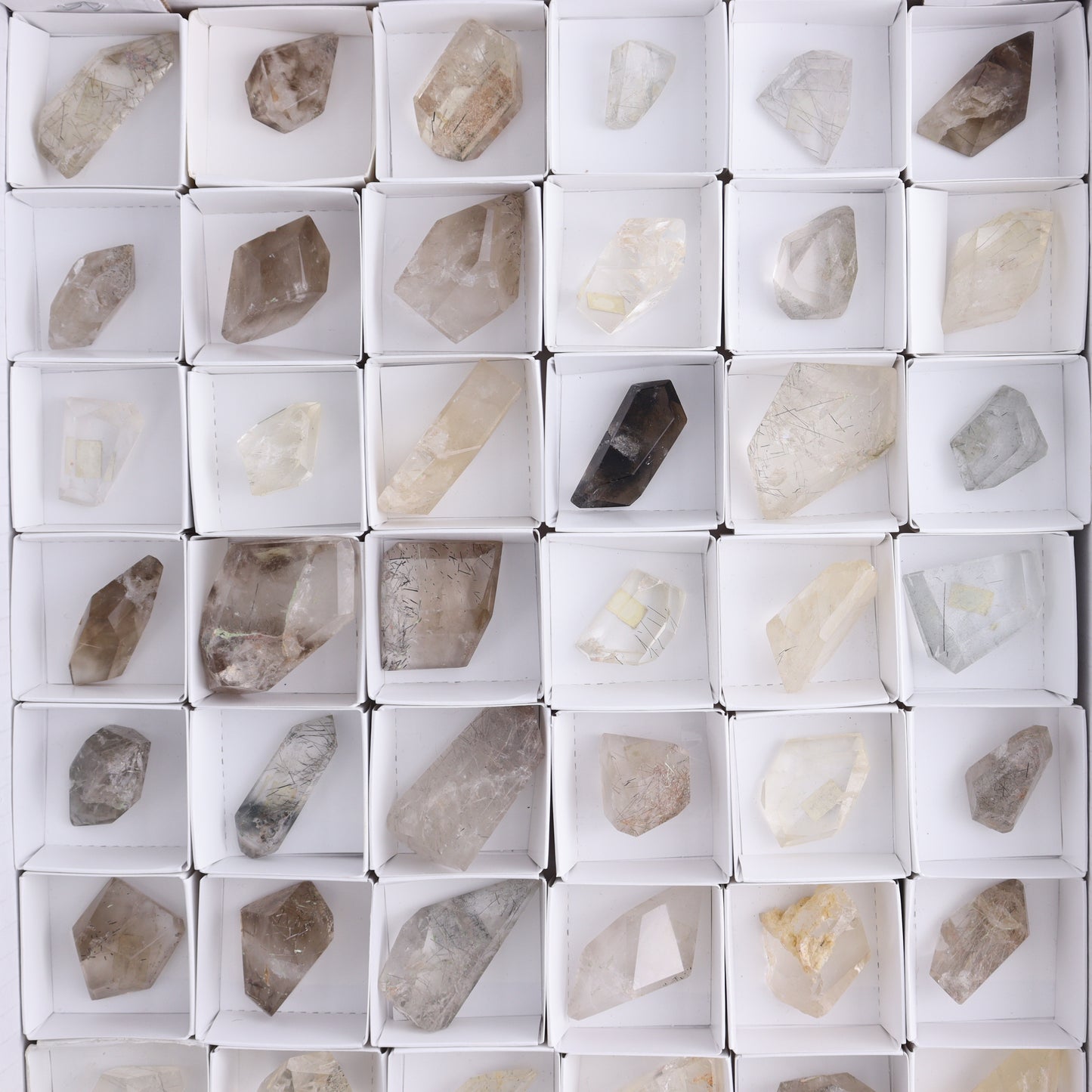 Quartz with Inclusions Feeforms Set of 54