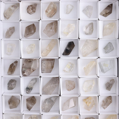 Quartz with Inclusions Feeforms Set of 54