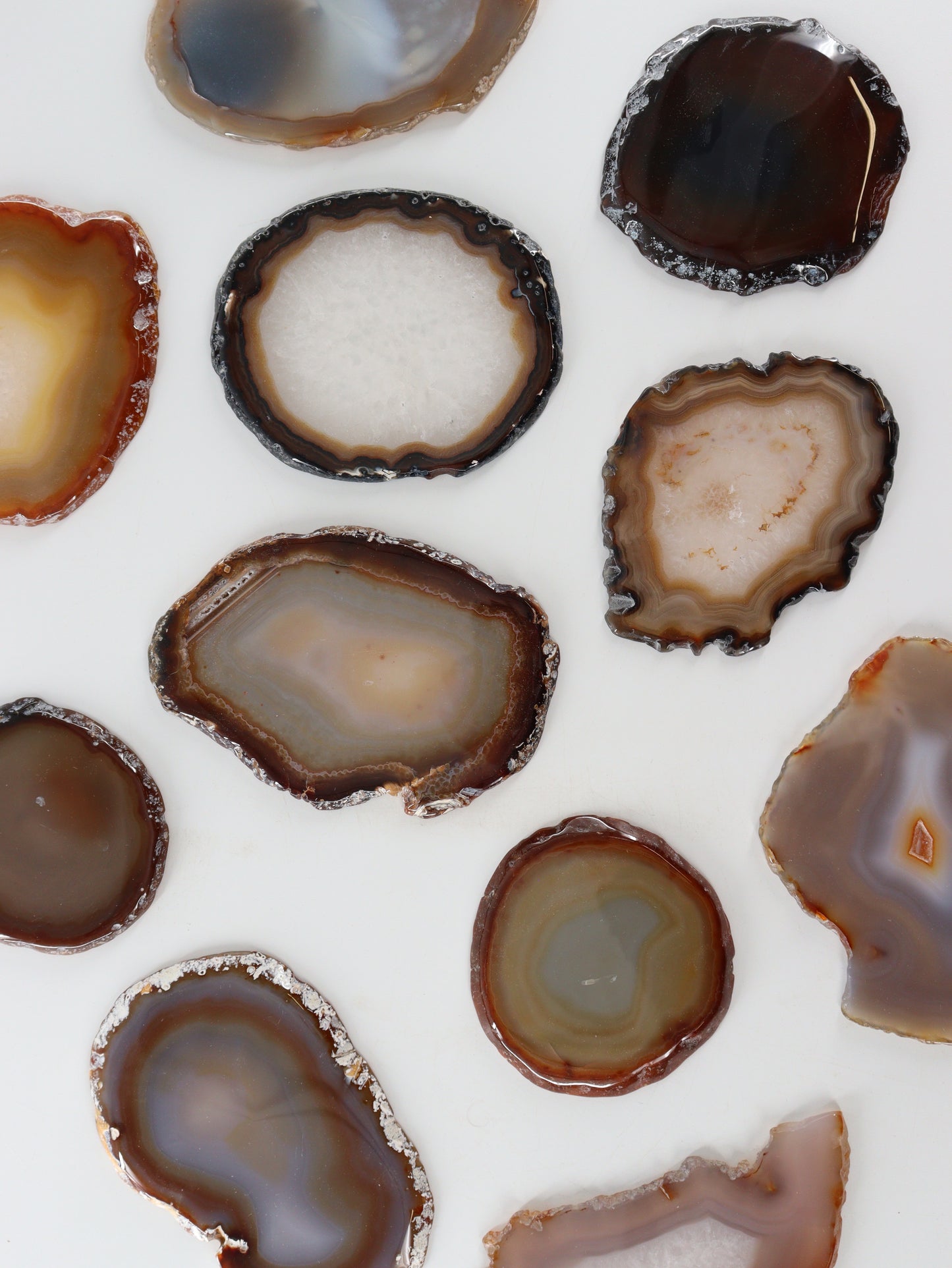 Agate Slices and Slabs Set of 11 - Expert Supplier of Wholesale Crystals & Bulk Gemstones