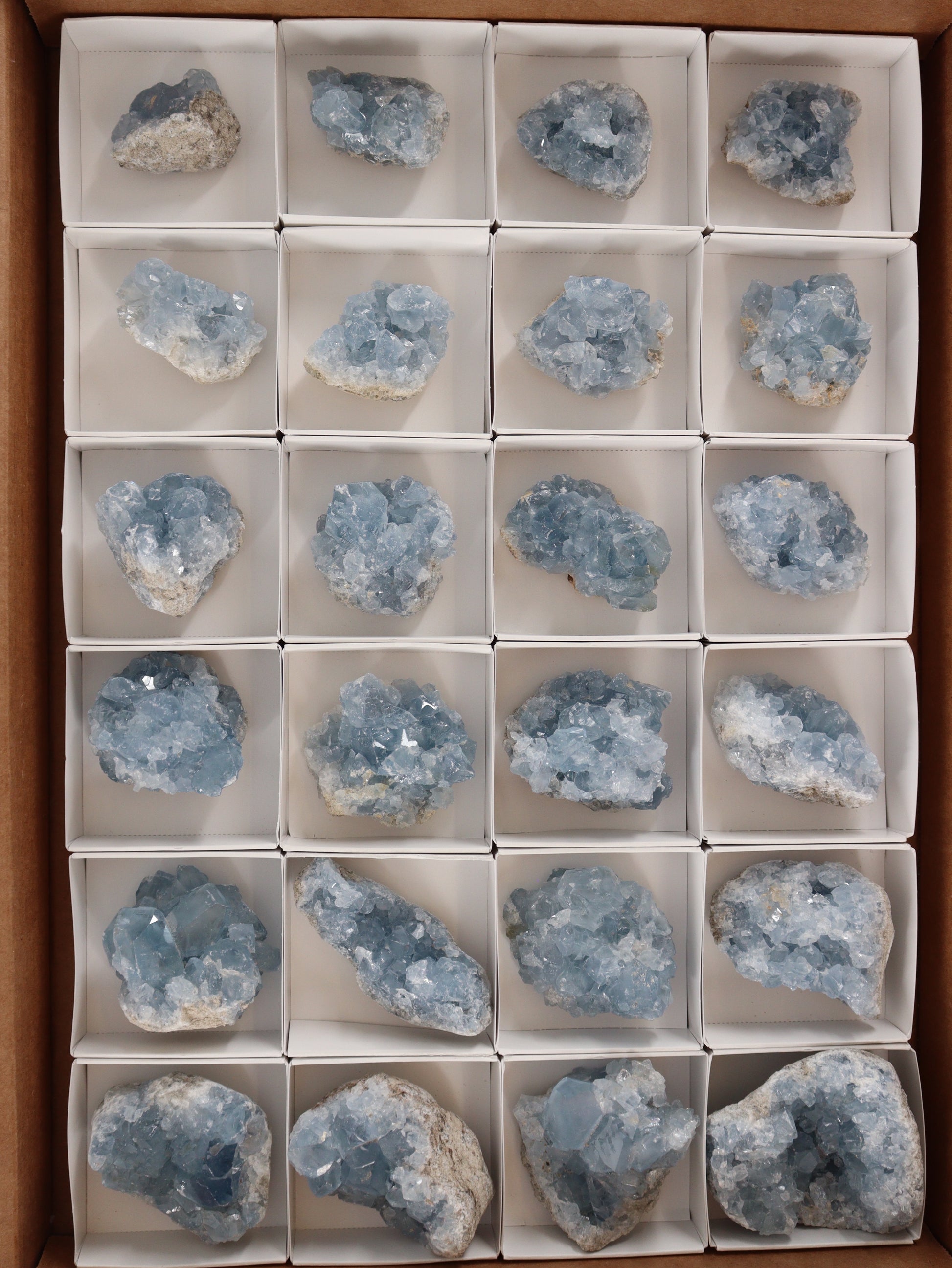Celestite Clusters Set of 24 - Expert Wholesale and Supplier of Wholesale Crystals & Bulk Gemstones, []