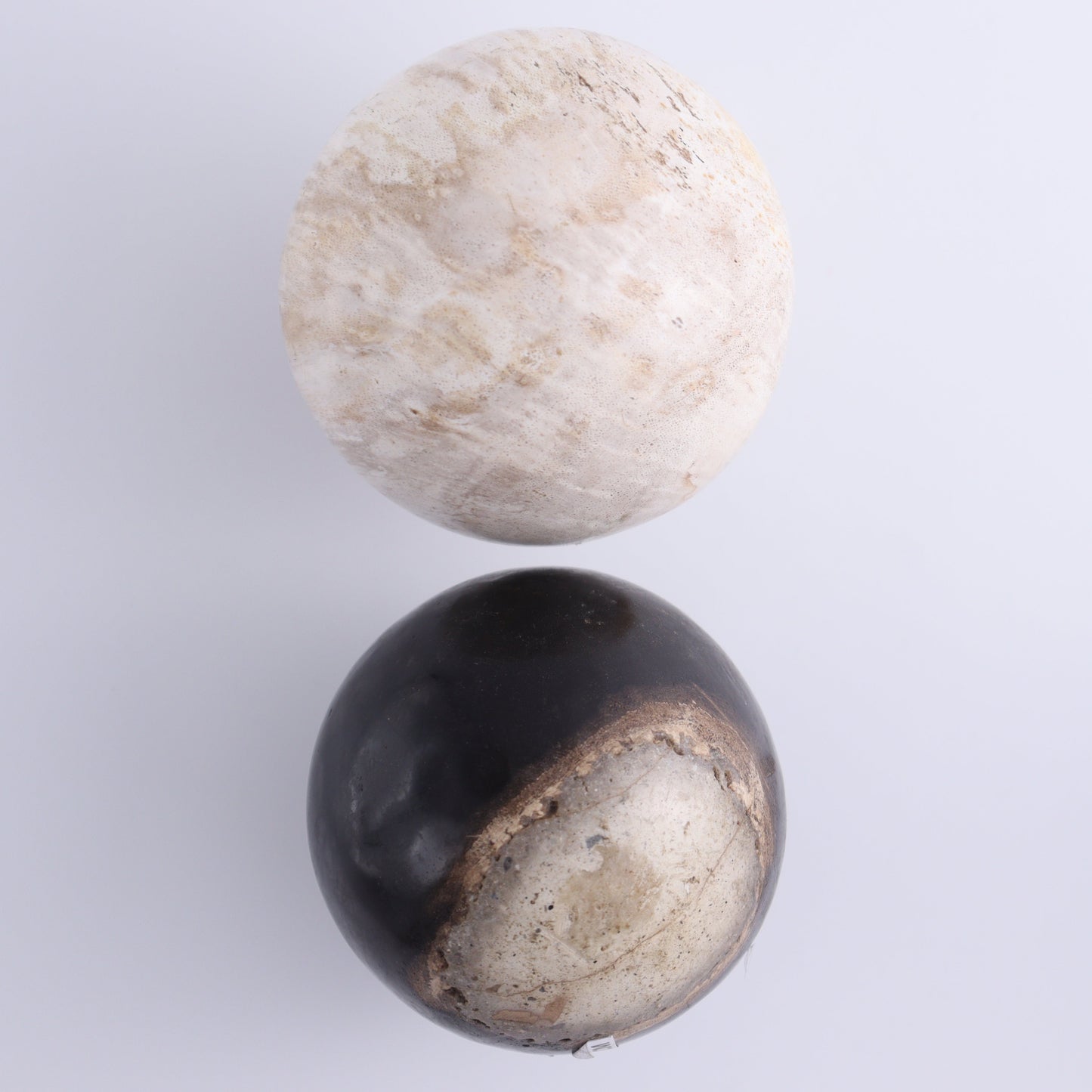 Petrified Wood Spheres Set of 4 - Expert Wholesale and Supplier of Wholesale Crystals & Bulk Gemstones, ["Indonesia","Petrified Wood","Spheres"]